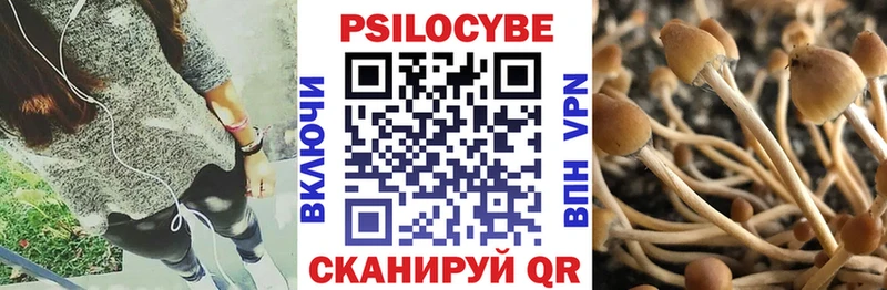 Псилоцибиновые грибы MAGIC MUSHROOMS  Джанкой 